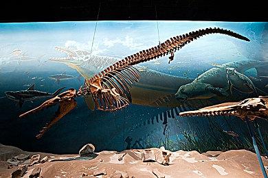 VR开发商NDreams获得3500万美元投资 将用于扩大公司规模